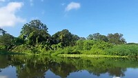 Rio Istian