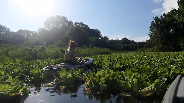 Eirish fighting the cabbage