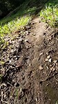 Ant highway
