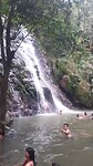 Minca