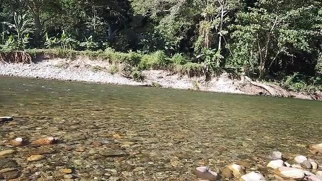 El Rio hostel