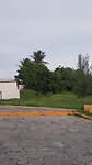 Olinda