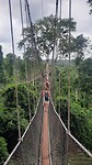 Kakum National Park