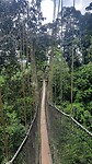 Kakum National park
