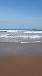 Busua