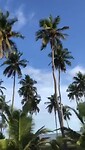 Cape Coast