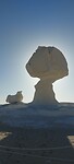 Chicken and mushroom sculpture by nature