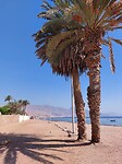 Dahab
