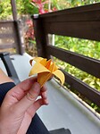 Origami