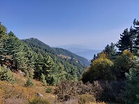 Nathia Gali