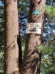 Nathia Gali