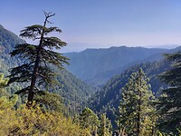 Nathia Gali