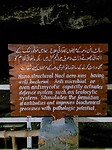 Salt mine