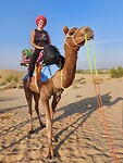 Desert tour