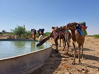 Desert tour