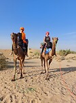Desert tour