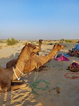 Desert tour
