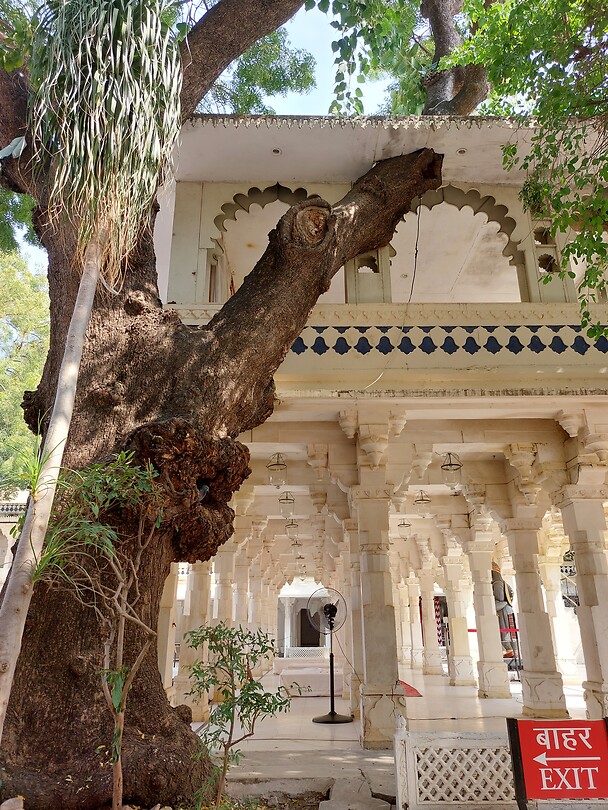Udaipur