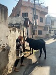 Udaipur