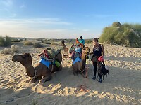 Desert tour