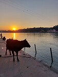Ganges