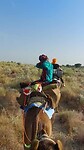 Desert tour