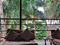 Jungle hostel