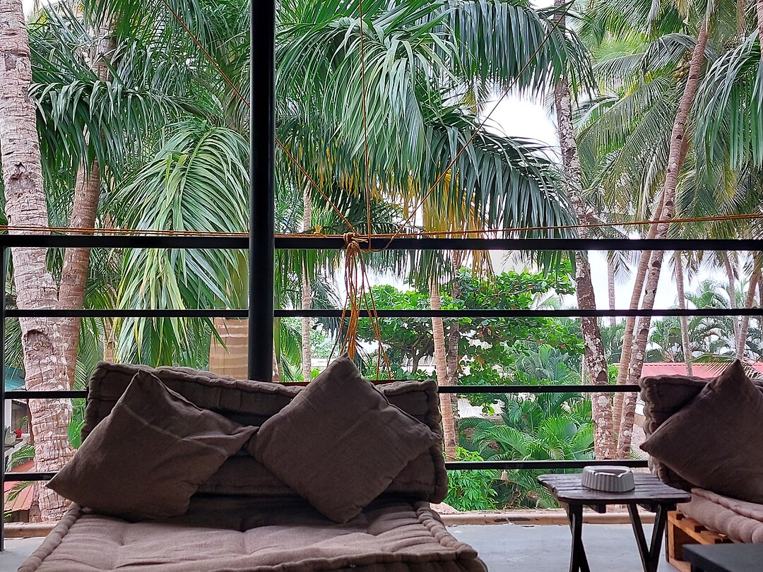 Jungle hostel