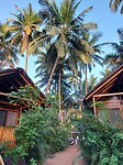 Agonda