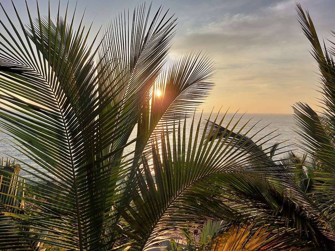 Agonda