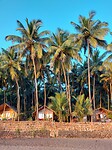 Agonda