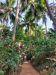 Palolem