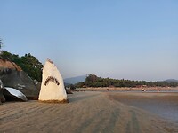 Shark rock