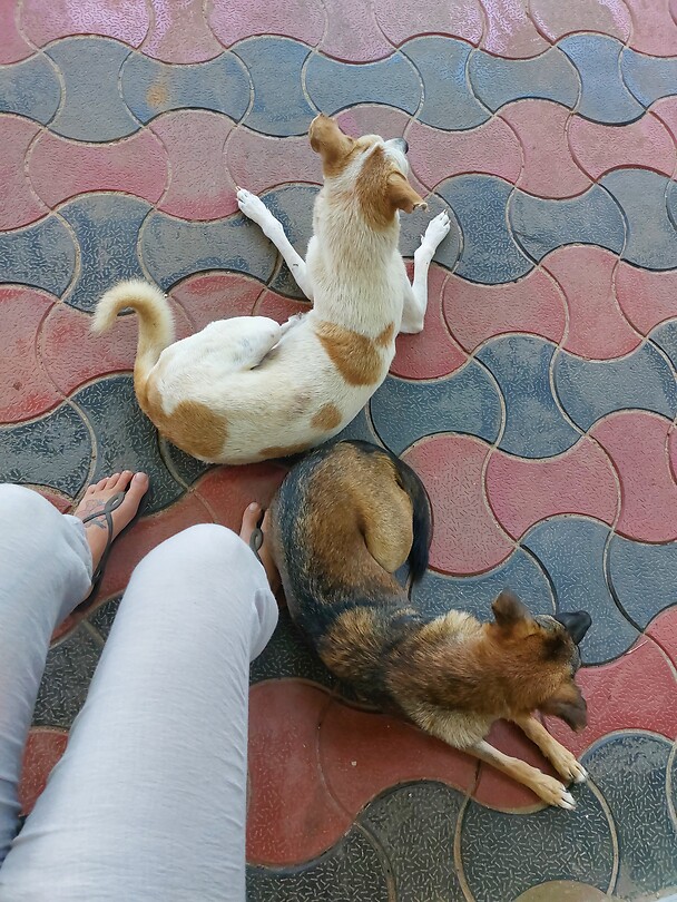 Hostel friends