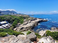 Hermanus