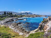 Hermanus
