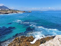 Hermanus