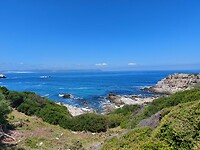 Hermanus