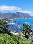 Hermanus