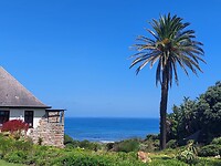 Hermanus