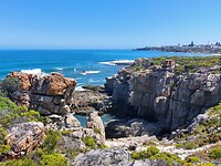Hermanus