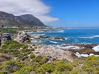 Hermanus