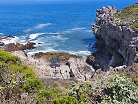 Hermanus