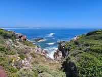 Hermanus