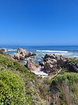 Hermanus