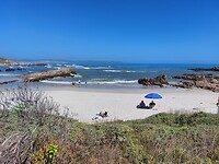 Hermanus