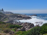 Hermanus