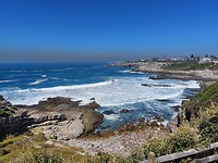 Hermanus