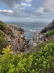 Hermanus