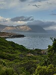 Hermanus